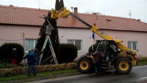 12336061_10207013855879998_135016538_n